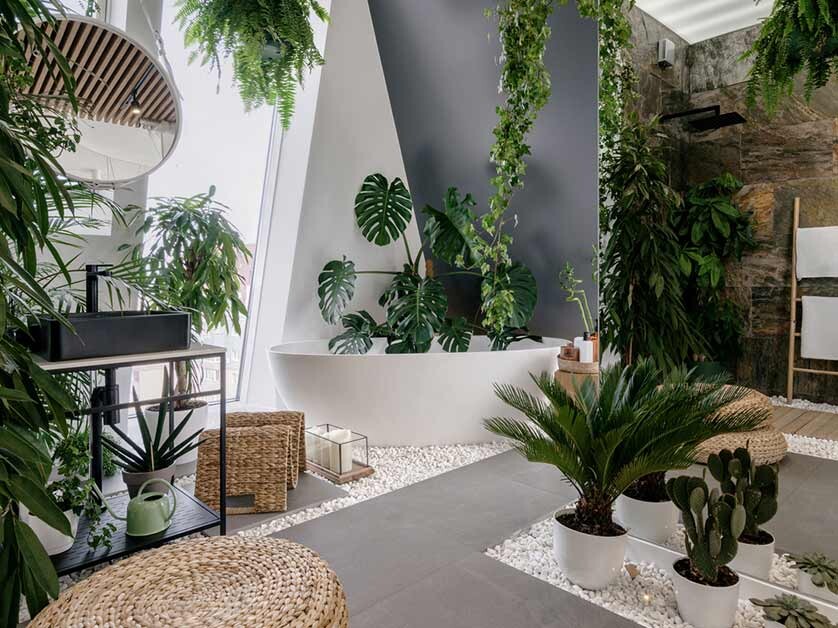 houseplants throughout your home