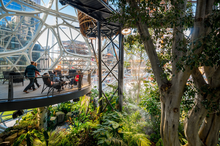 Seattle The Amazon Spheres