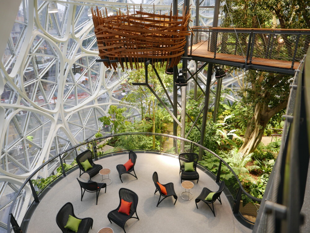 The Amazon Spheres