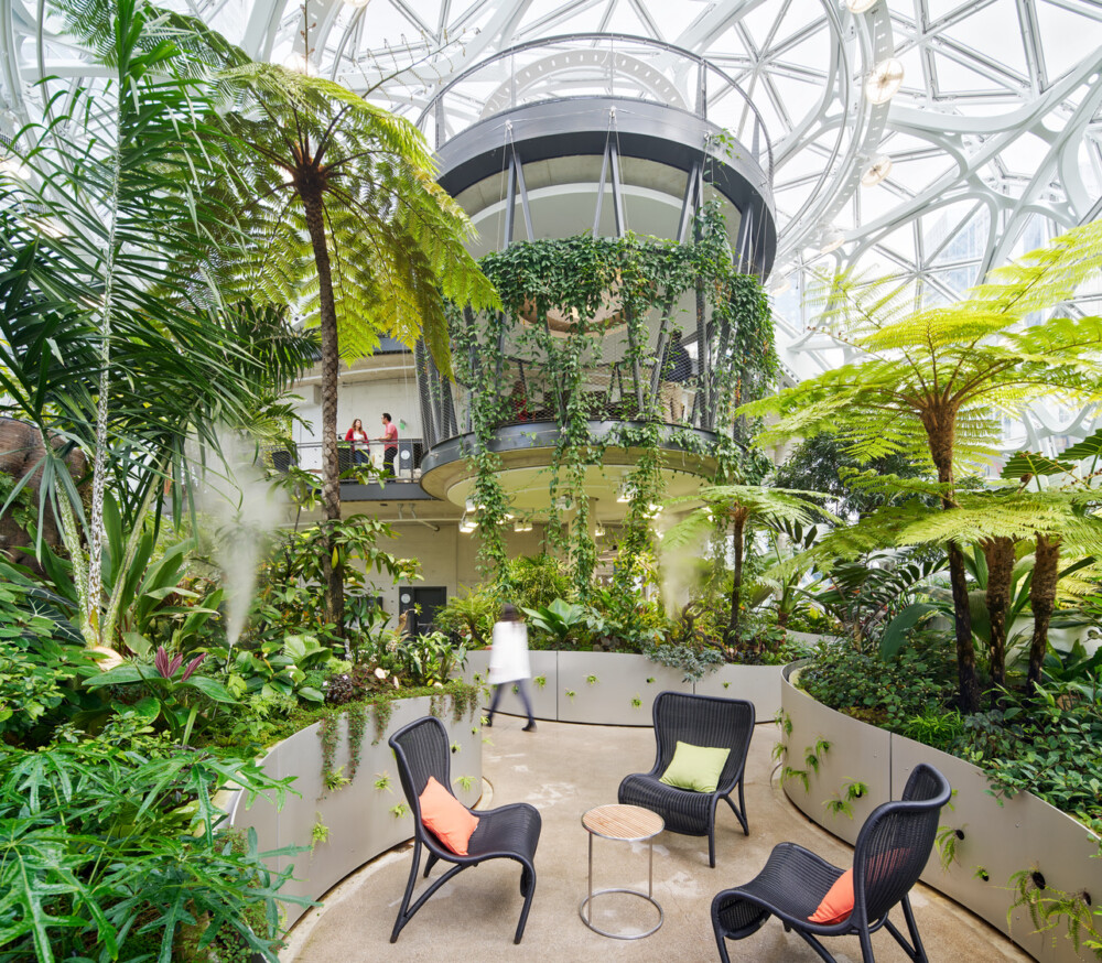 The Amazon Spheres Seattle